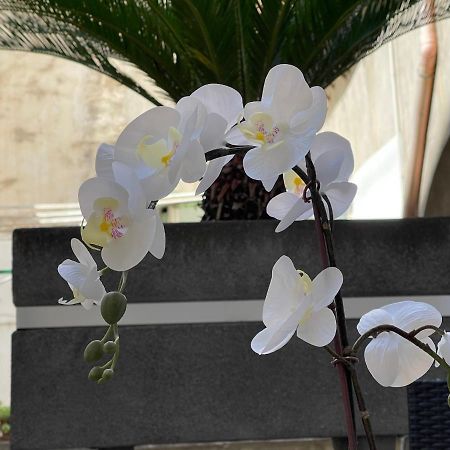 那不勒斯Residenza Spinelli公寓 外观 照片